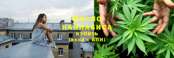 индика Богородицк